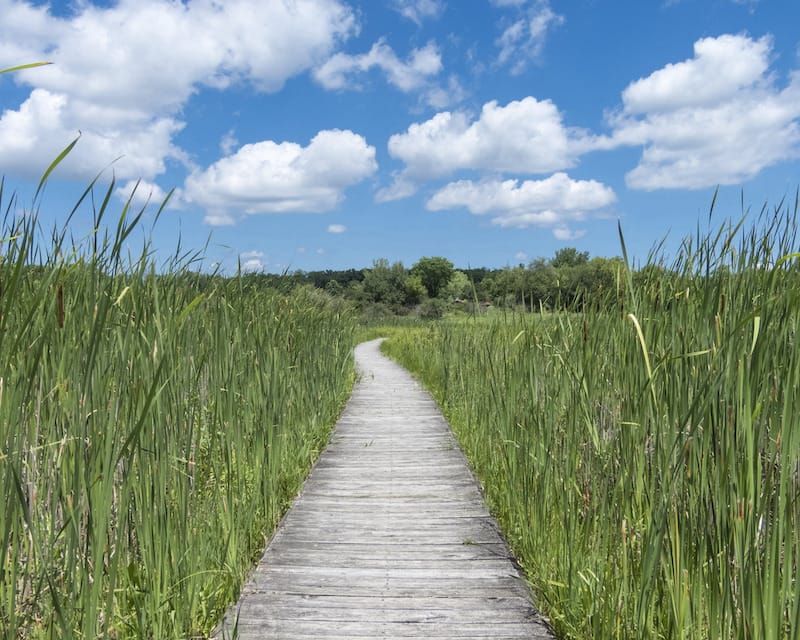 Moraine Hills State Park