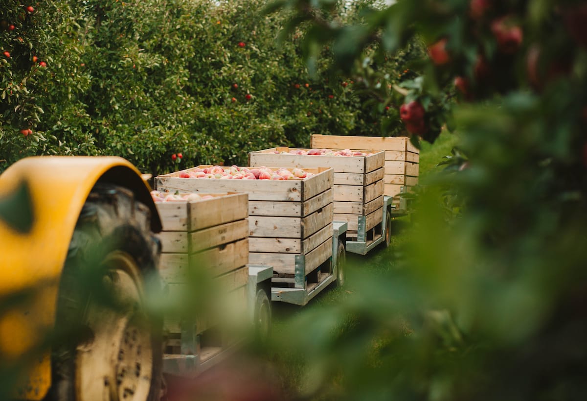 Places to go apple picking in Wisconsin