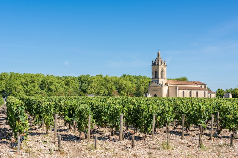 Vineyard in Medoc