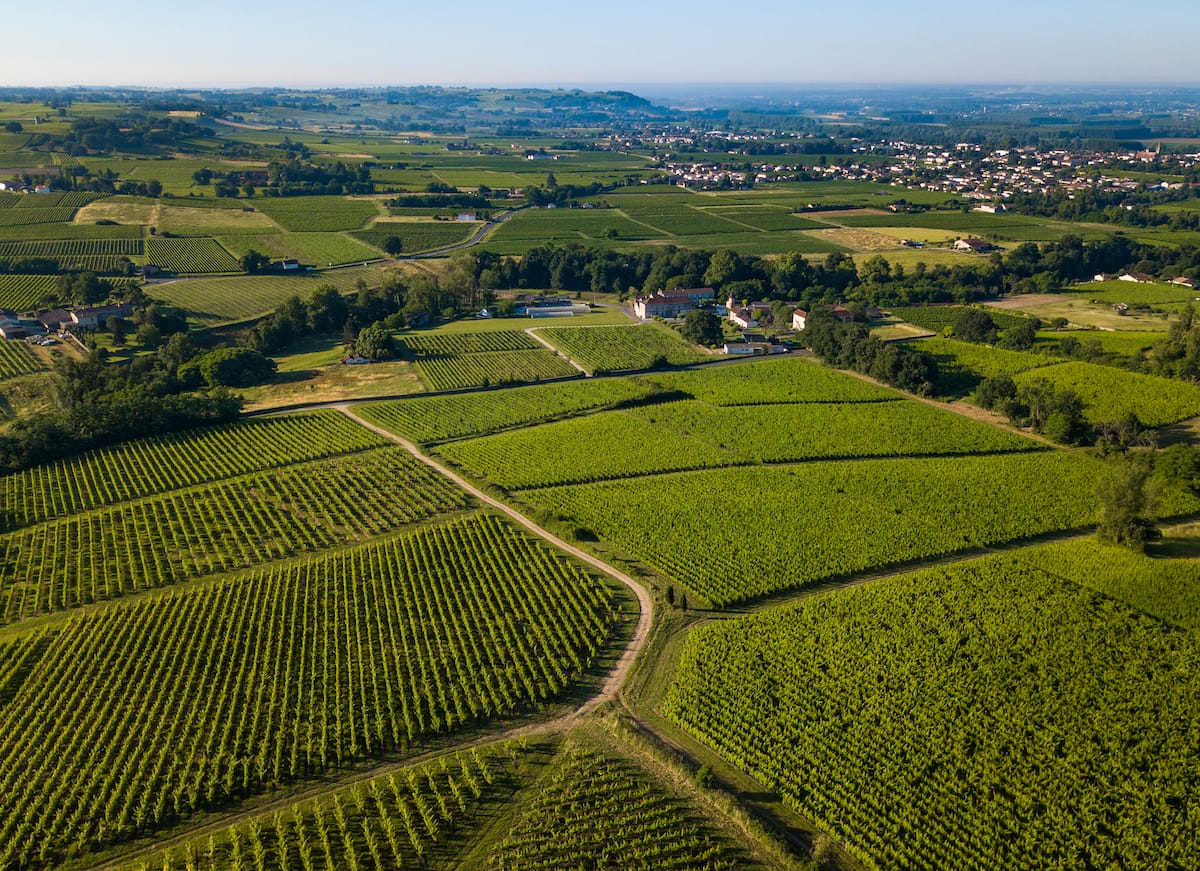 Vineyards around Bordeaux
