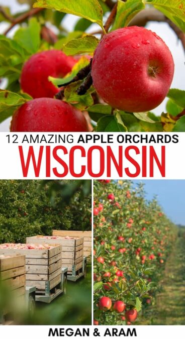 Looking to go apple picking in Wisconsin this fall? These are the best apple orchards in Wisconsin that you can visit, including tips for what to do there! | Apples in Wisconsin | Wisconsin apple picking | Wisconsin apple orchards | Where to pick apples in Wisconsin | Wisconsin bucket list | Wisconsin in fall | Fall in Wisconsin | What to do in Wisconsin during fall | Wisconsin in autumn | Wisconsin fruit farms | Apple picking in Wisconsin | Apple orchards near Milwaukee | Apple orchards near Madison WI