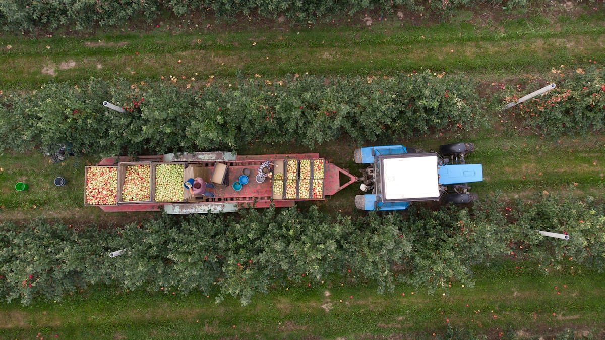 Wisconsin apple picking guide