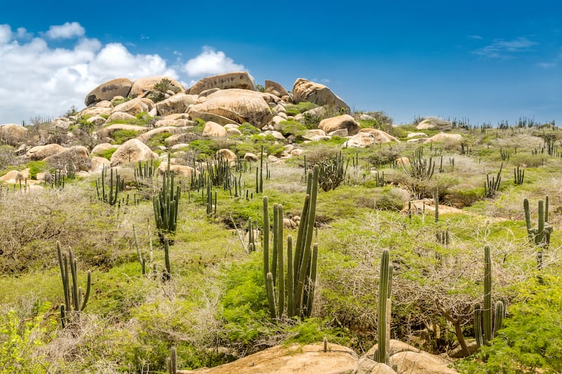 Aruba rock formations on the tour