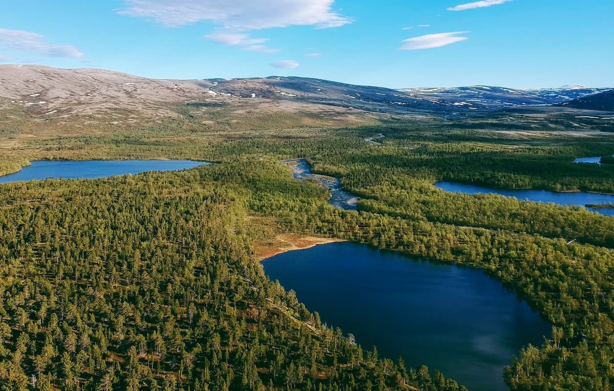 This is a photo of Stabbursdalen National Park, the world's northernmost pine forest, in Northern Norway. It shows a blue sky and a lot of green trees and lakes. It is taken from my drone.