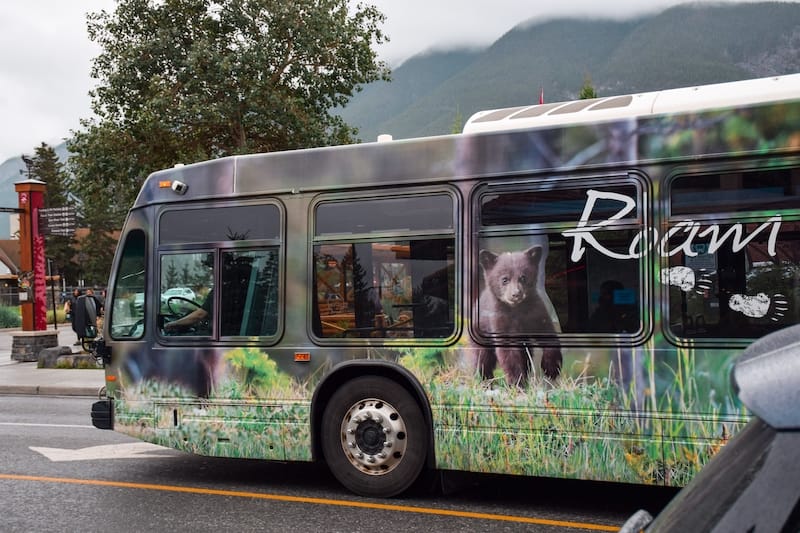 Banff shuttle - JulieK2 - Shutterstock