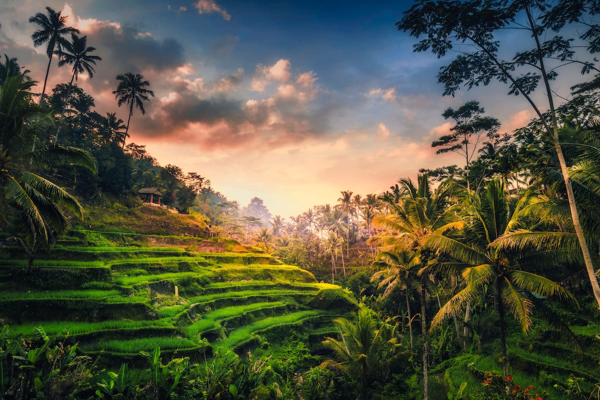 Best things to do in Ubud