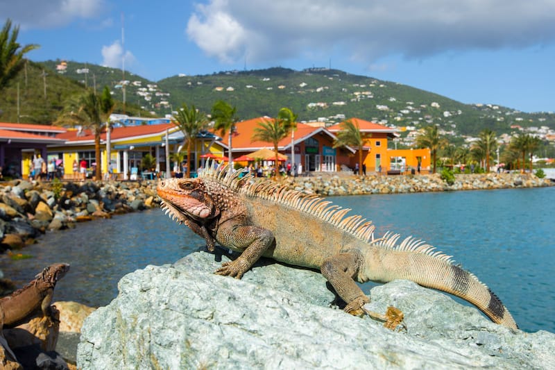Best time to visit St. Thomas is ... anytime!