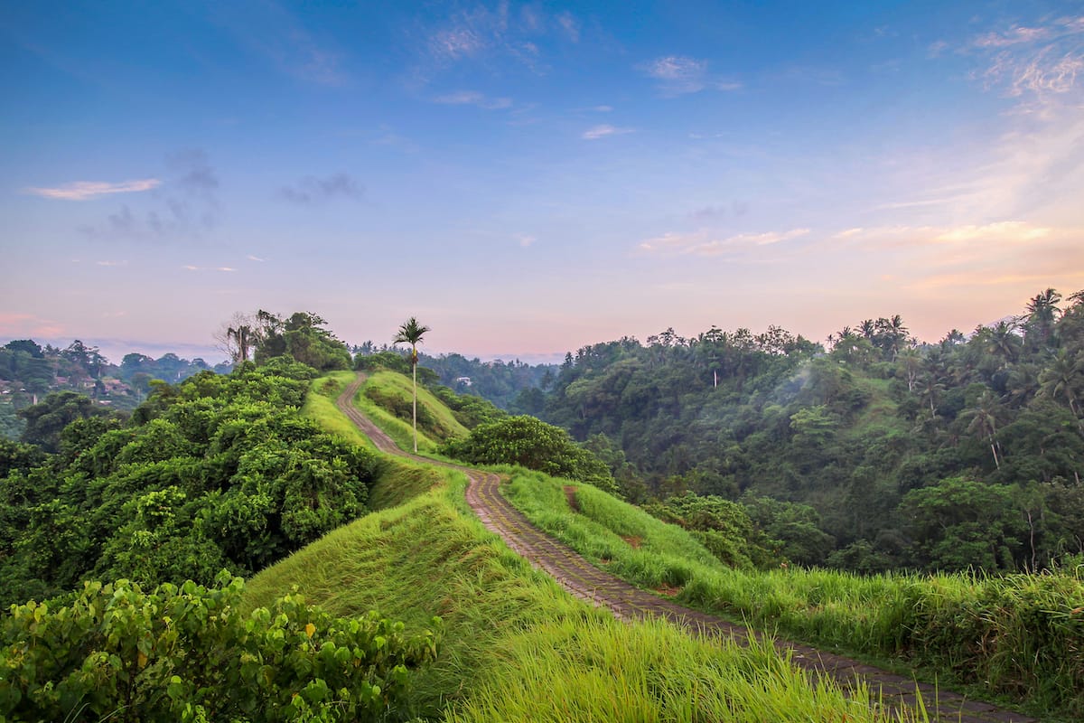 Campuhan Ridge Walk