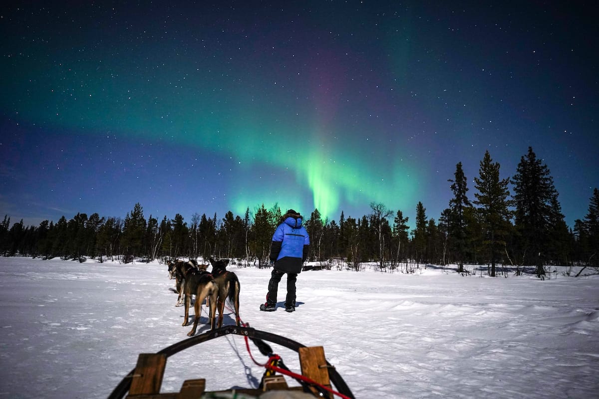 Dog sledding is one of the best winter activities in Kiruna!