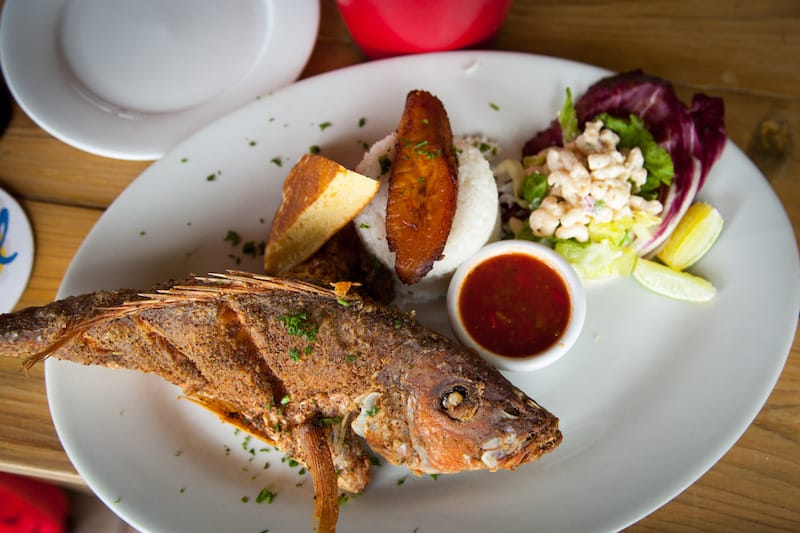 Delicious red snapper on Aruba