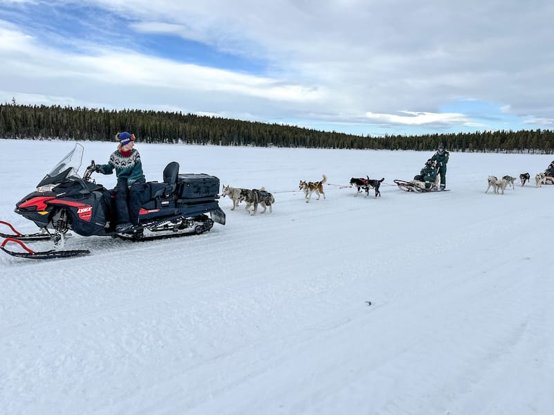 Seeing the huskies on our adventure!