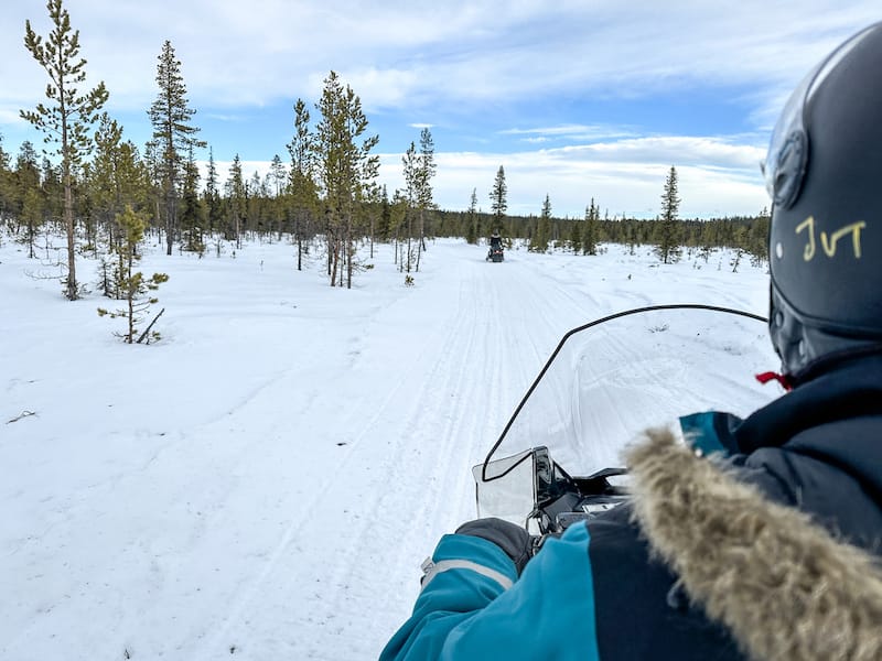 Going through the birch and pine forests