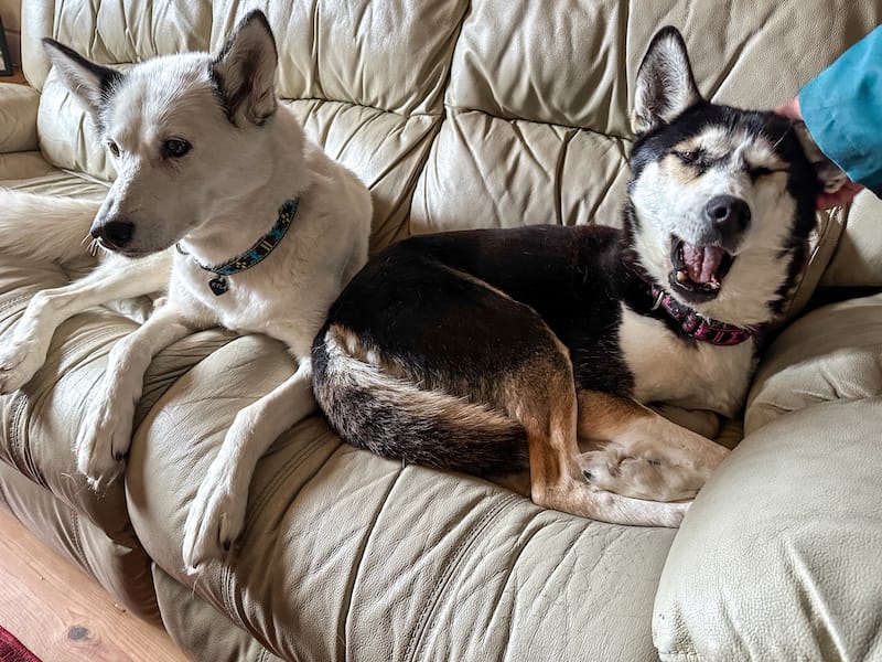 Retirees in the cabin