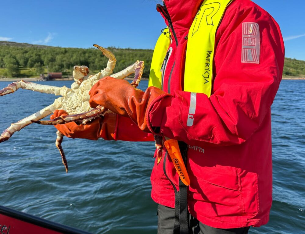On a king crab safari in Kirkenes