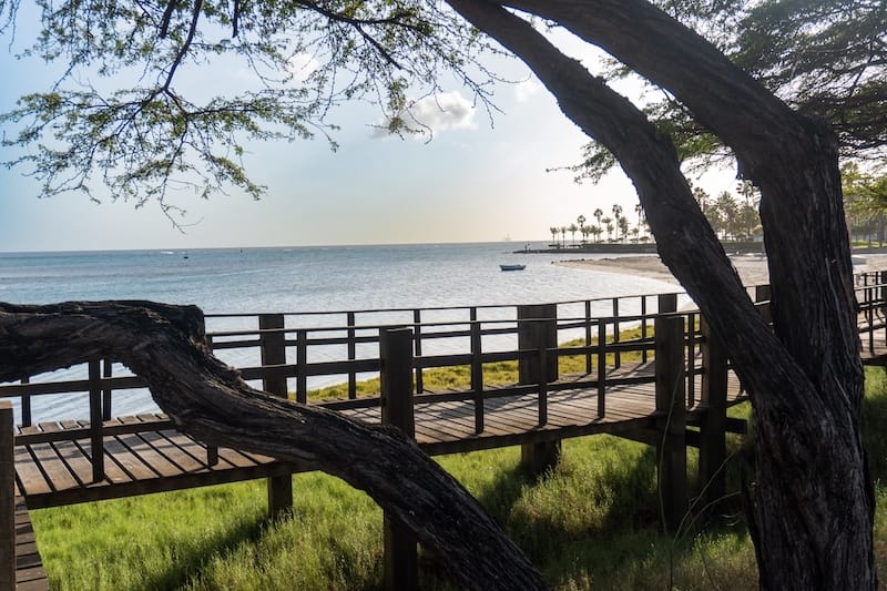 Linear Park Trail