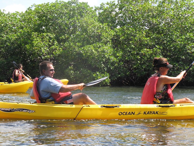 VI Ecotour Kayak Excursion