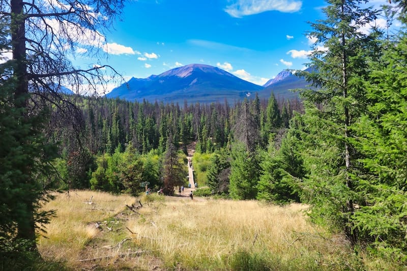 Valley of the Five Lakes trail in Jasper