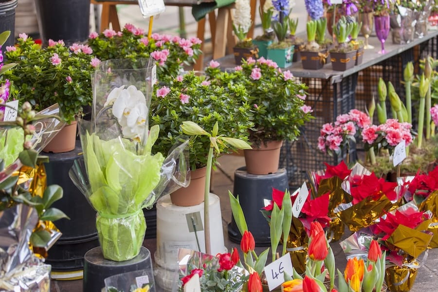 Flower Market at Cours Saleya