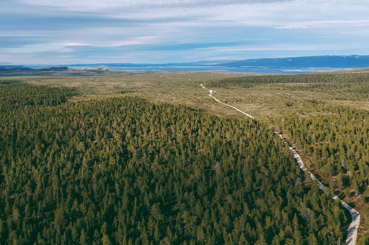 Some parts of Norway are void of traffic while others are packed in summer!