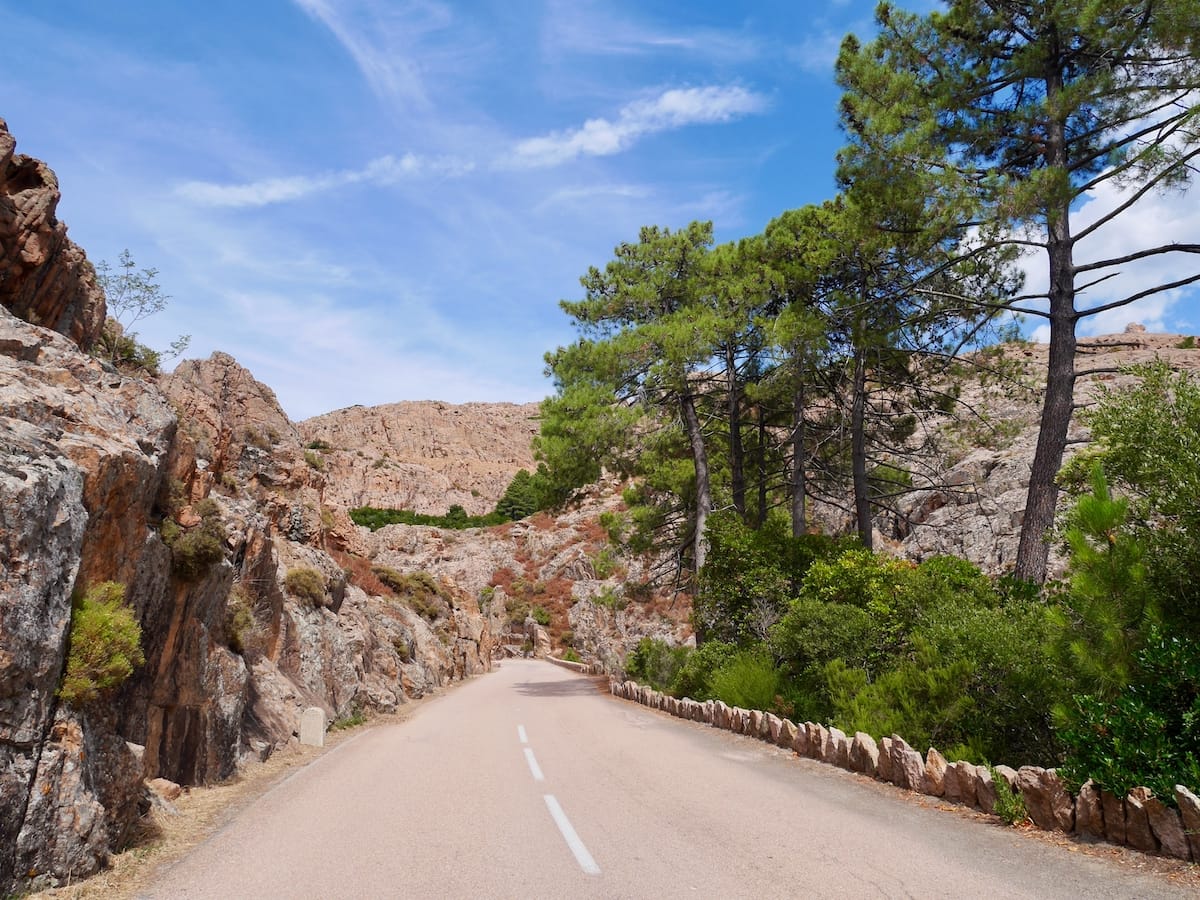 The scenic D81 road in Corsica