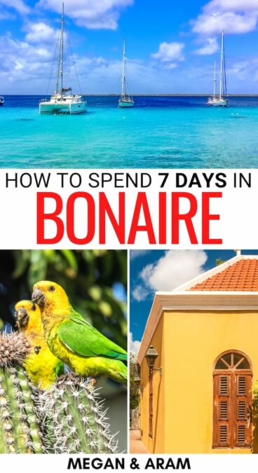 Are you looking for the best way to spend 7 days in Bonaire? This Bonaire itinerary breaks down your week - from the best sights to how to get around! | Week in Bonaire | Bonaire travel tips | Best things to do in Bonaire | Bonaire things to do | Places to visit in Bonaire | Bonaire beaches | What to do in Bonaire | How to get around Bonaire | Best time to visit Bonaire