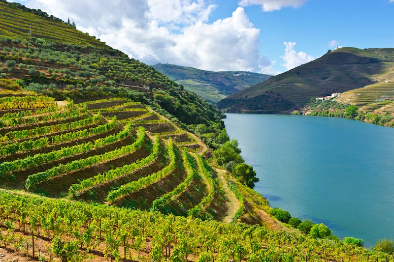 Douro Valley