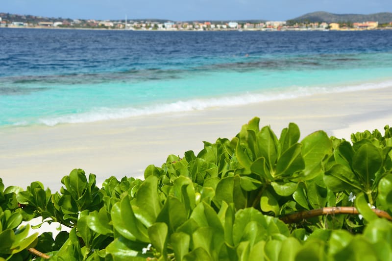 Klein Bonaire is a great place to snorkel... or just hang out