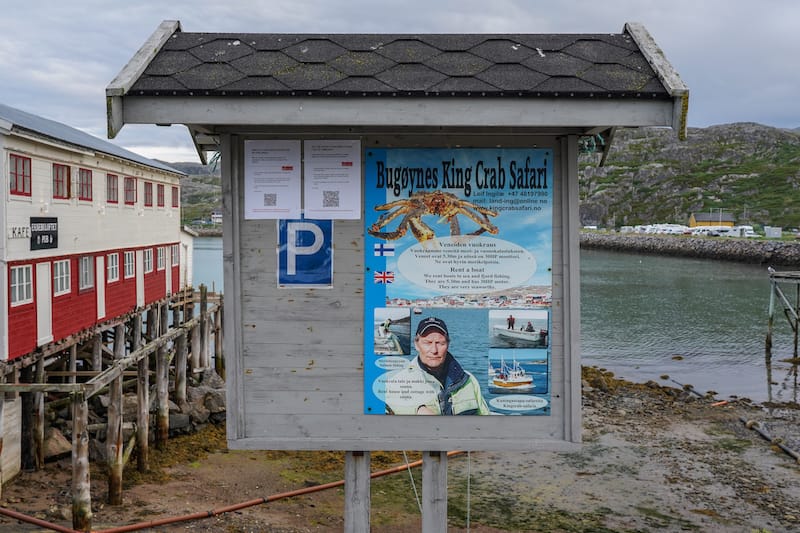 The King Crab Safari is super popular in Bugøynes