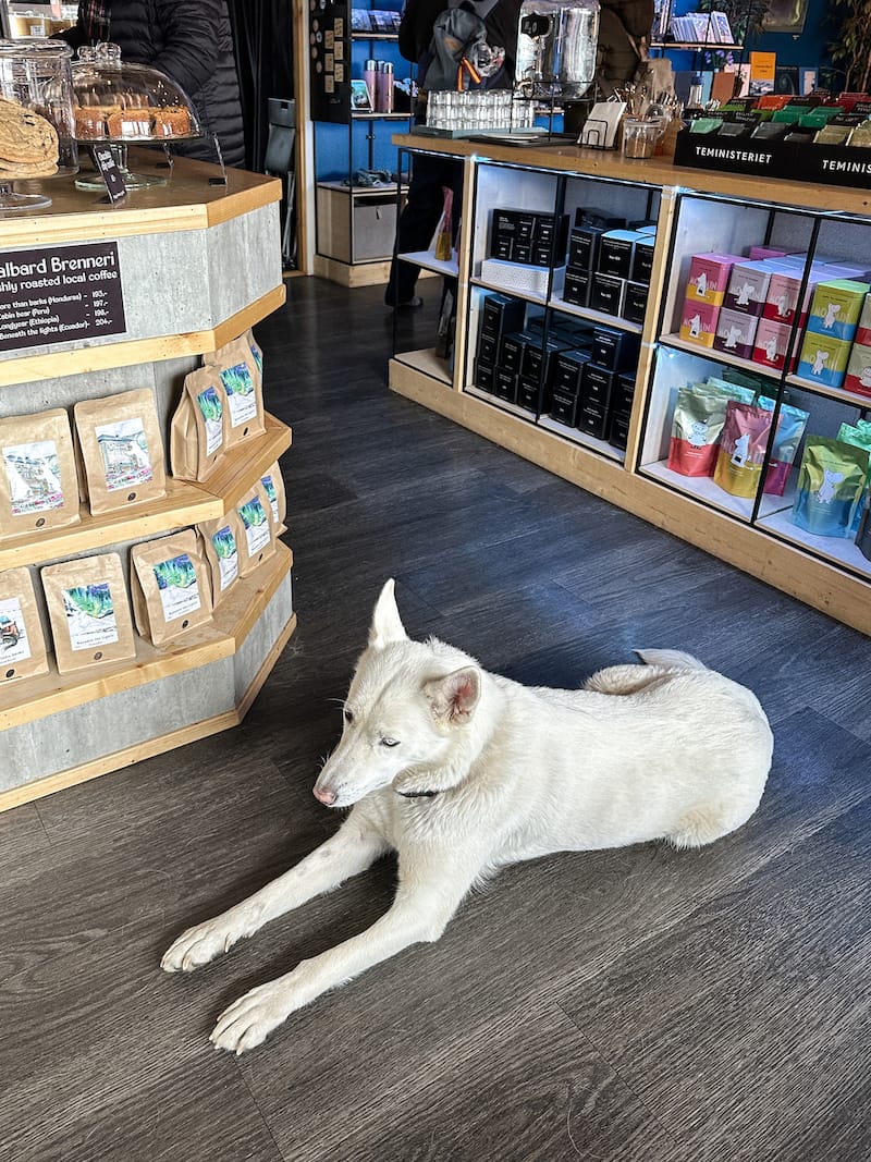 Cafe Huskies' employee of the month