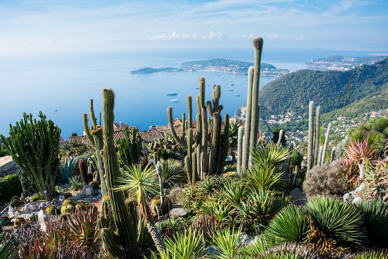 Views from the Jardin Exotique d'Eze