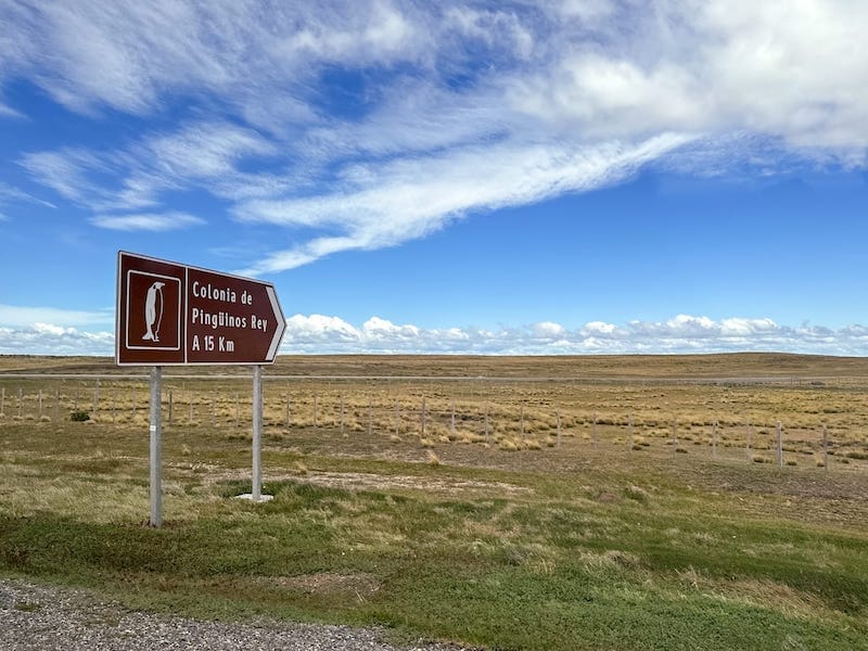 Driving to the King Penguin Colony!