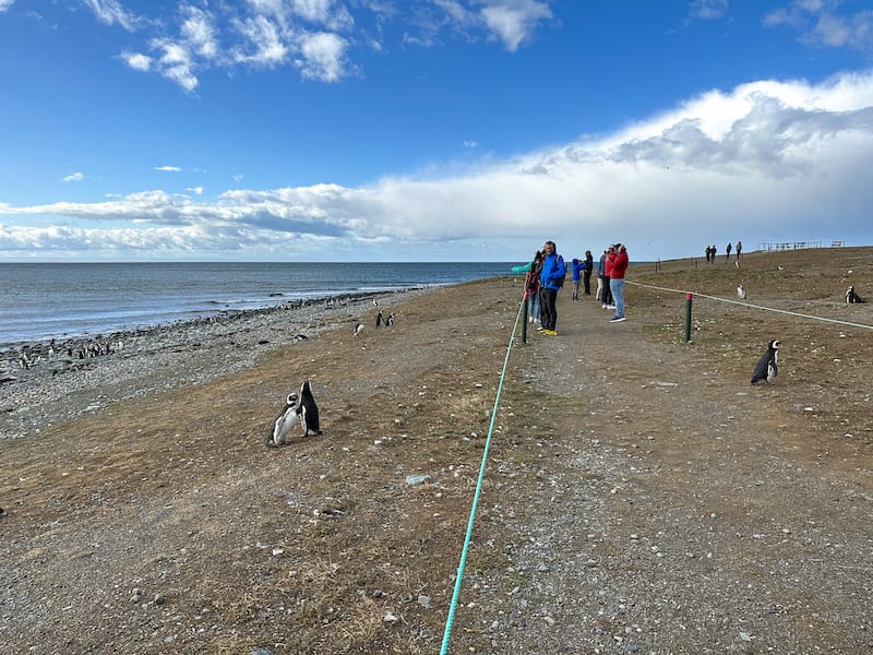 The walking path on the island