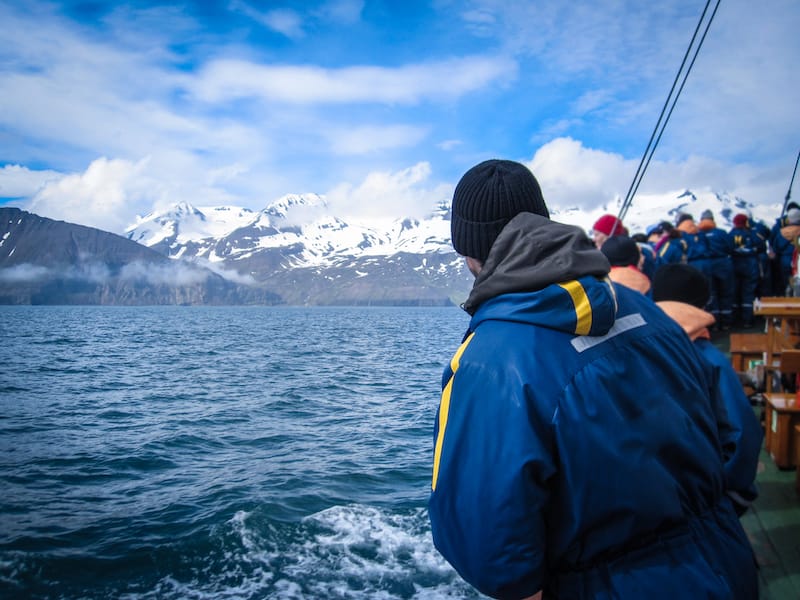 Whale watching is a great thing to do in April