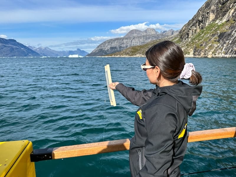 Learning to fish on the Nuuk Fjord