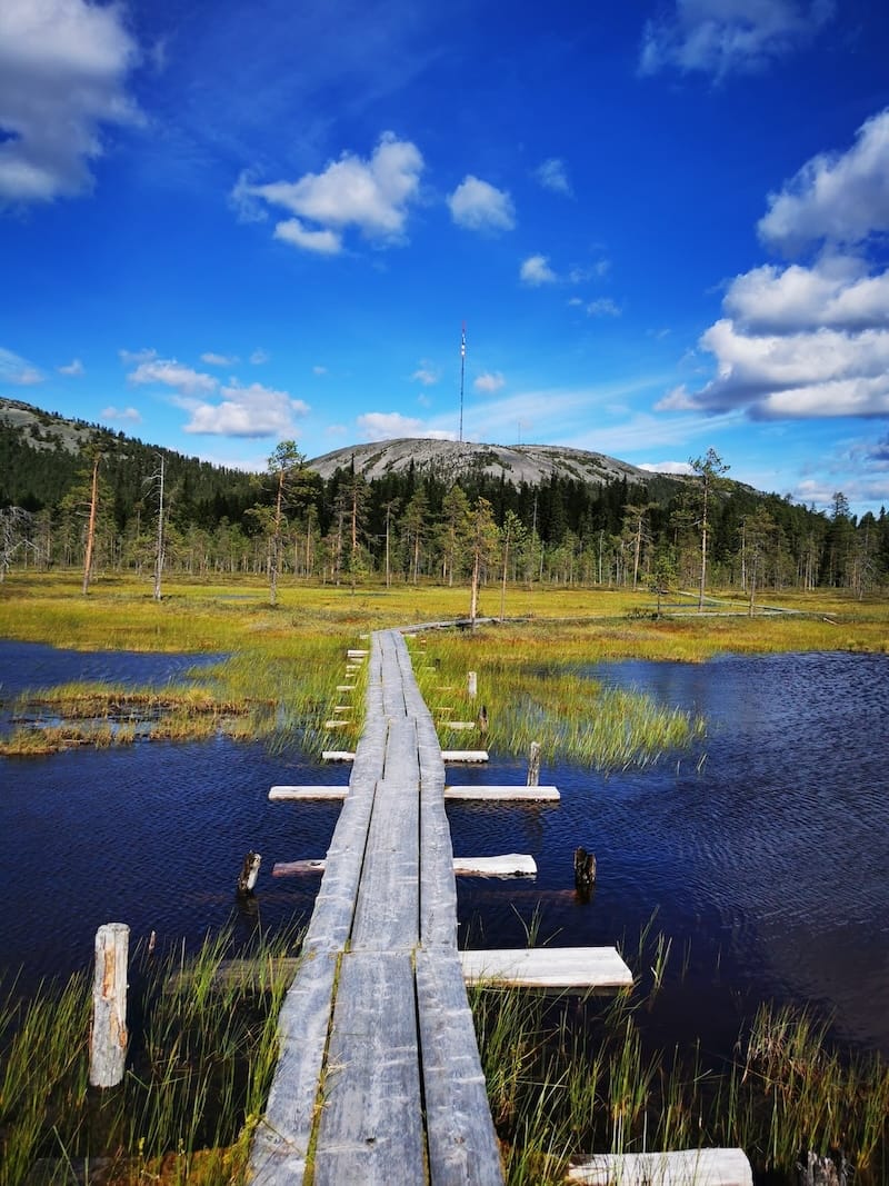 Pyhä-Luosto National Park