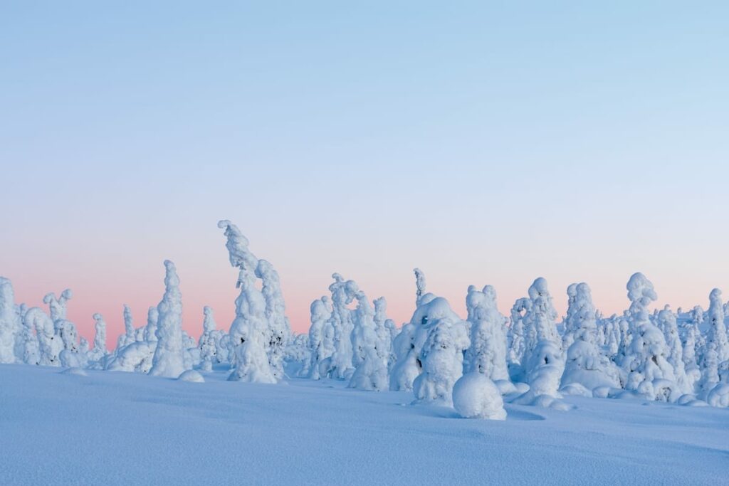 Rovaniemi day trips guide - which is your favorite?