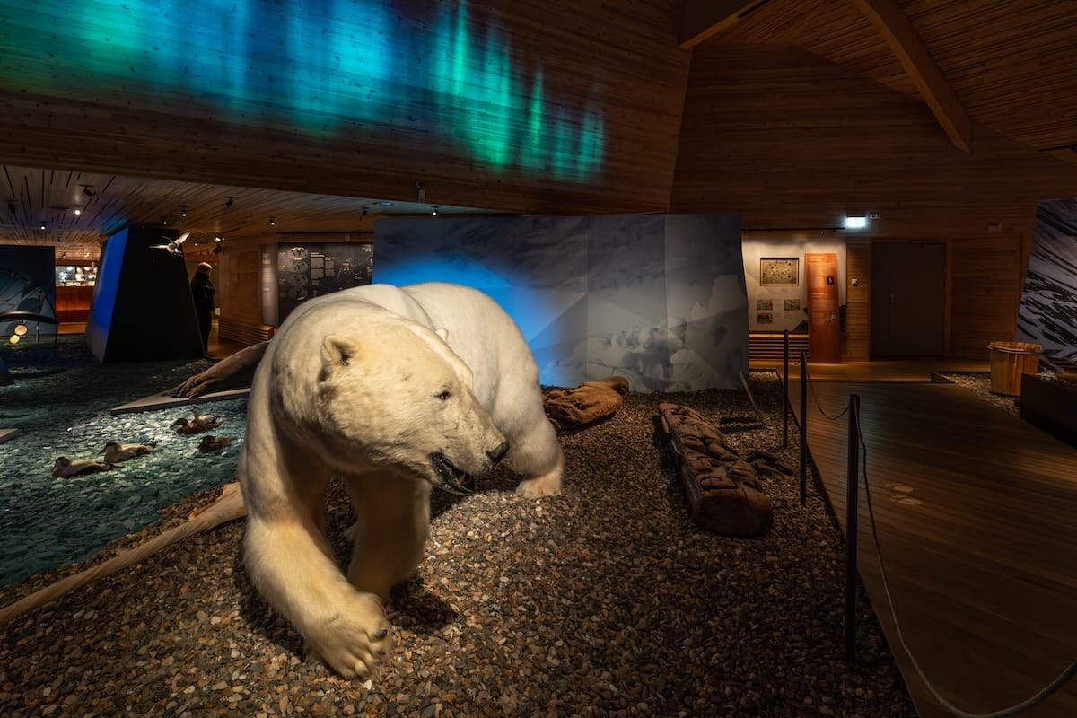 Inside the Svalbard Museum