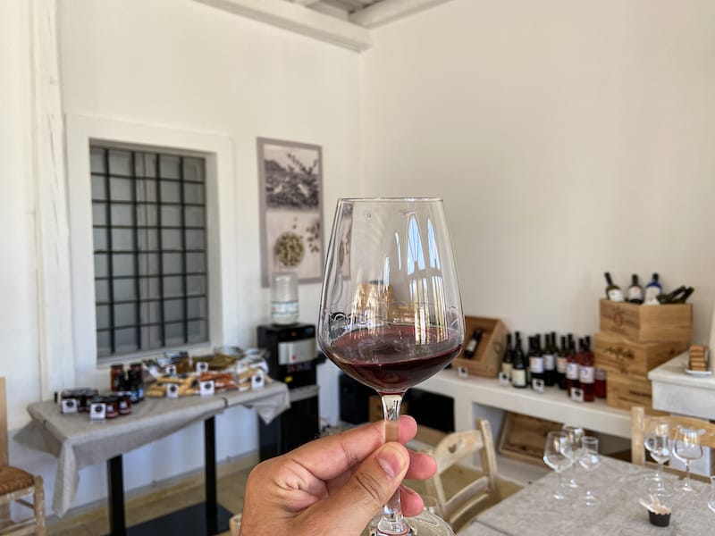Enjoying wine in Santorini