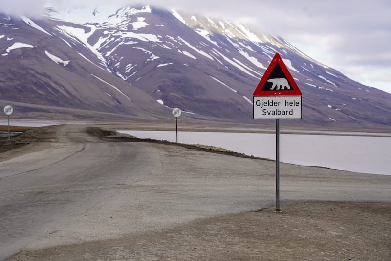 Polar bear sign in Svalbard