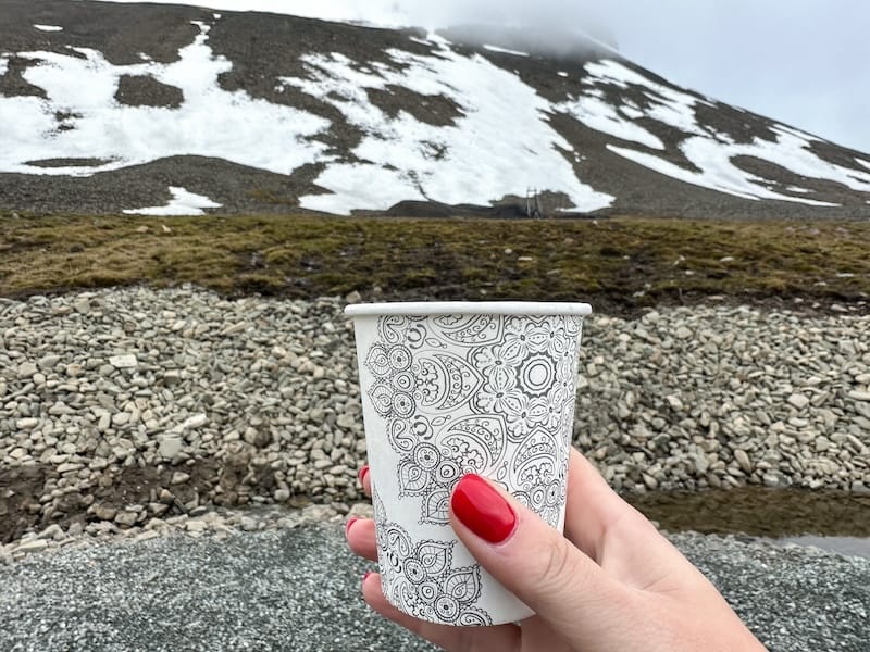 Delicious solbær toddy (black currant juice)