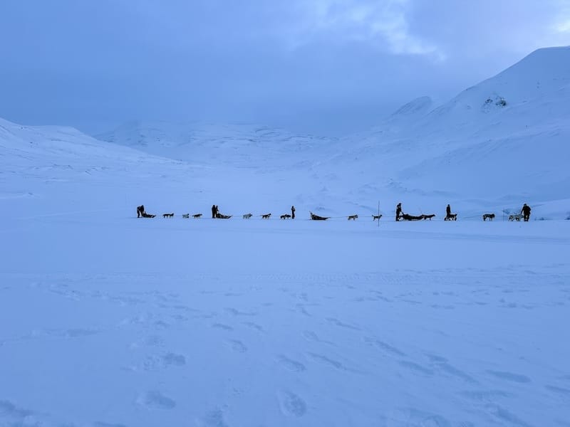 Visiting the ice cave with a dog-sled team