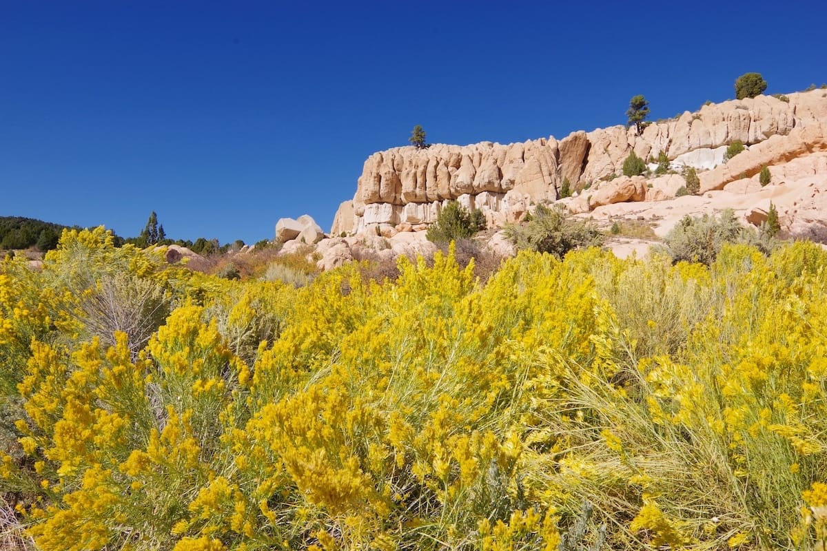 Spring Valley State Park near Pioche