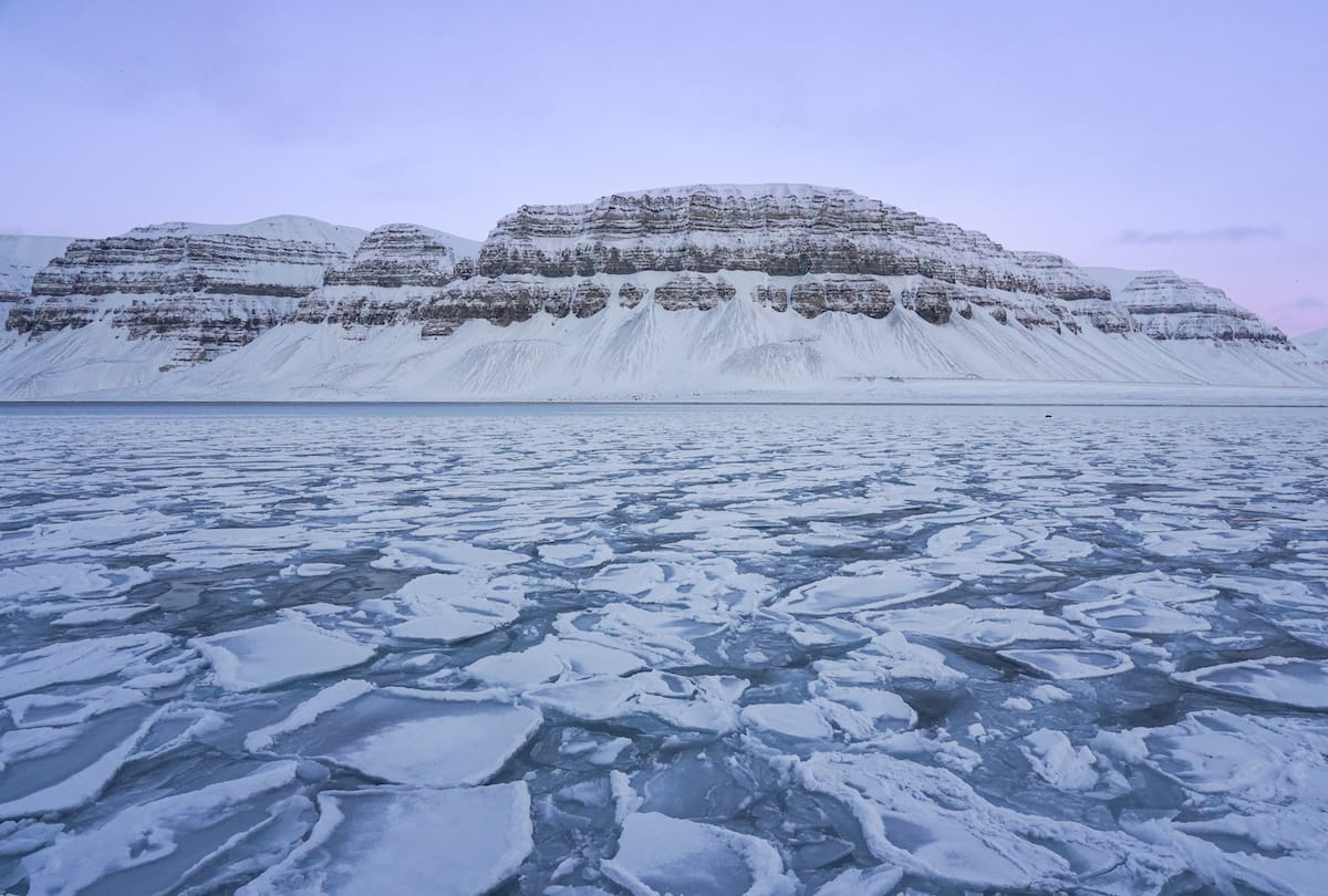 Glacier/fjord tour in Svalbard (in February)