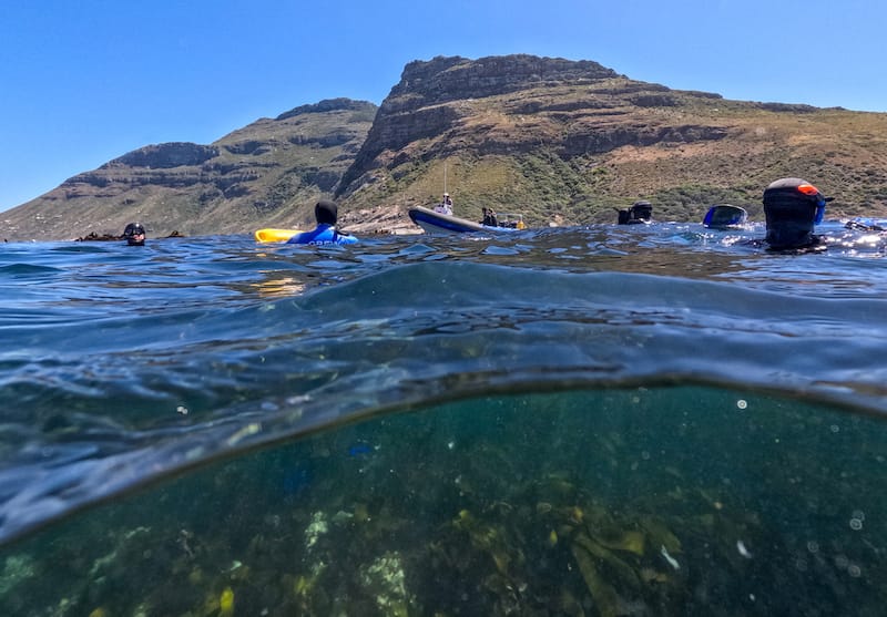 In the water with the seals