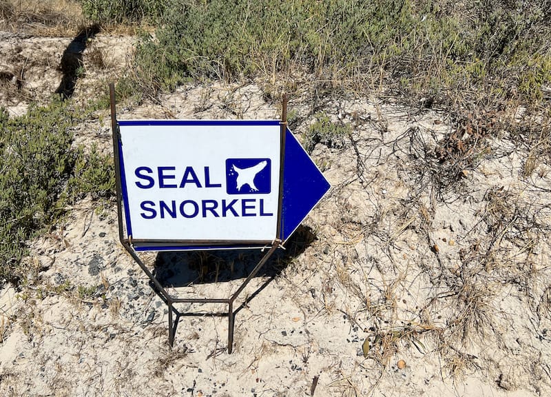 Finding the seal snorkeling tour meeting point