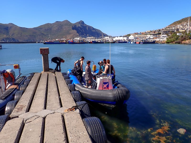 Our RIB boat for the tour