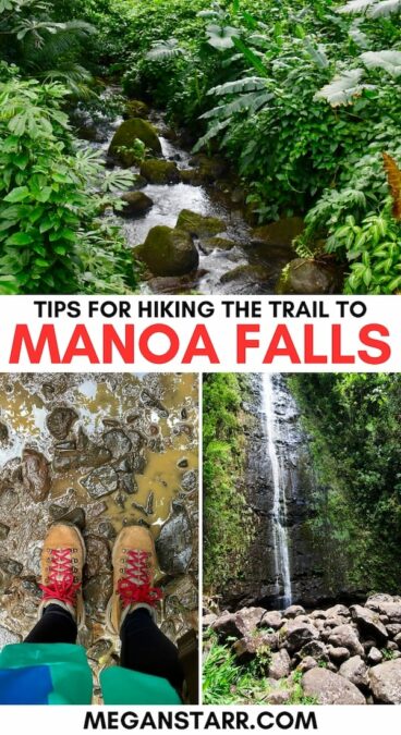 Looking to hike the Manoa Falls Trail and want tips for doing so? This guide covers what to know before hiking to Manoa Falls, Honolulu's easiest day hike! | Things to do in Honolulu | What to do in Honolulu | Places to visit in Honolulu | Hiking near Honolulu | Honolulu hikes | Waterfall hikes in Hawaii
