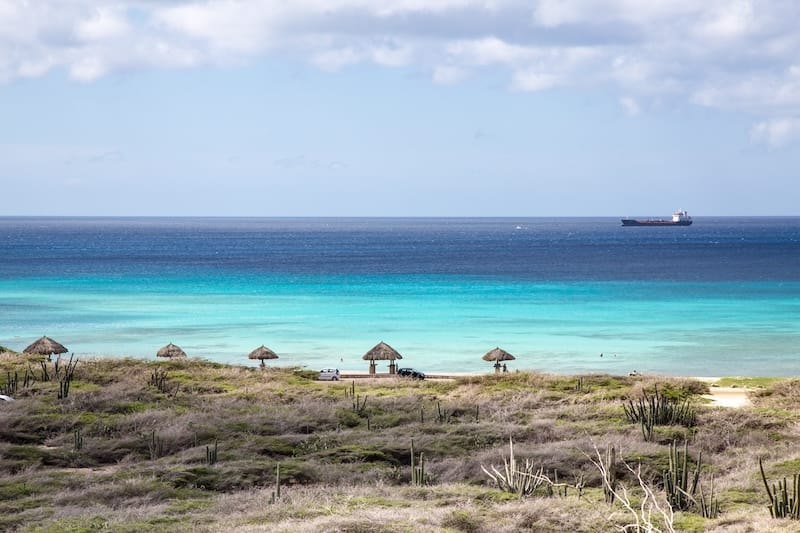 a beach with grass and straw umbrellas at Arashi Beach