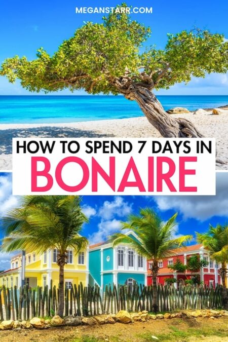 Are you looking for the best way to spend 7 days in Bonaire? This guide shows you the perfect one-week in Bonaire itinerary for first-time visitors! Click to learn more and how to plan your Bonaire road trip. | Bonaire itinerary | Itinerary Bonaire | One week in Bonaire | Bonaire 1-week itinerary | Bonaire 7-day itinerary | What to do in Bonaire | Bonaire things to do | Things to do in Bonaire | Visit Bonaire | Trip to Bonaire | Bonaire in summer | Bonaire in winter