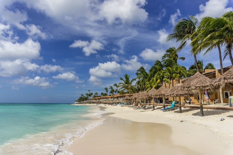 a beach with palm trees and a row of chairs at Druif Beach
